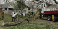 Storm Damage & Emergency Tree Removal