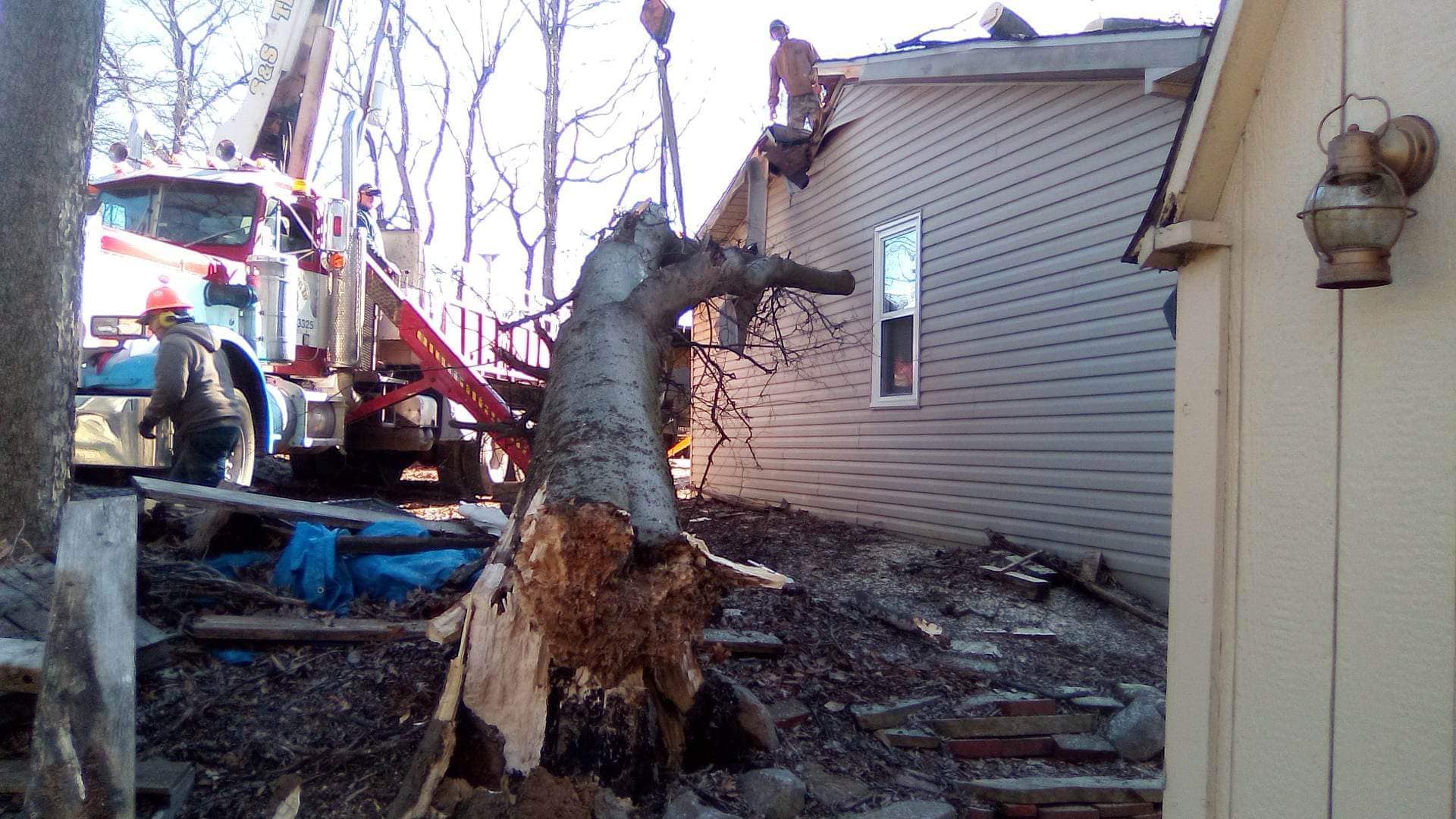 -3372742345497231102